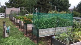 Minimize Costs While Maximizing Your Garden