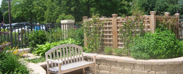 Essential Elements of Therapeutic Gardens