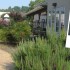 The Ruby Pardue Blackburn Adult Day Health Care Center – Wilkesboro, NC
