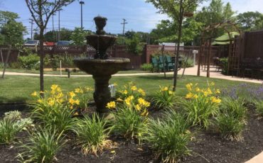 The soothing sounds of the water feature in The Activities Garden